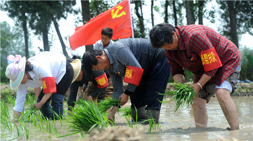 ���ջ������P�_�h���d���l(xi��ng)�伯��M���h�T�ͷ�ꠎ����������y�������Ҳ��퓌�N��_����.jpg