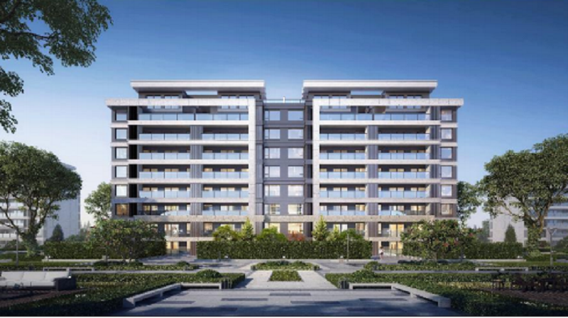 �DƬ15.png