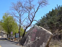 Ӣ�۝h-1.png