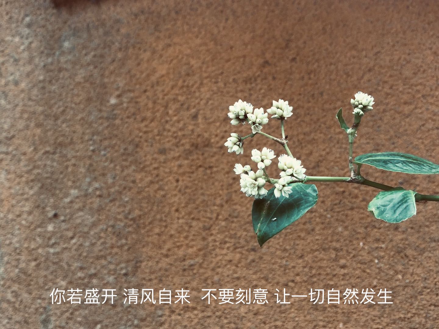 23bcd399bfdeed0609aa5a2848400d8.jpg