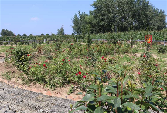 �����干���W(w��ng)�j(lu��)���}������̫���� �D(zhu��n)���(zh��n)·�ڴ壺ȥ����Ɉ@һ�^���������˴���r(sh��)����