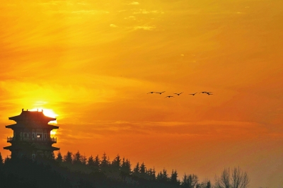  (t��ng),���l(shu��)�ڳ���!���T�{�S�ӎ�(k��)�^(q��)���Z����