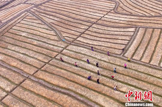 �D�麽���r(n��ng)�������g�����������տ����z