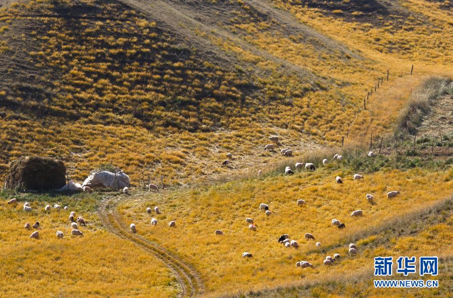 #(�����Ї�)(4)���Bɽ��ɫ��
