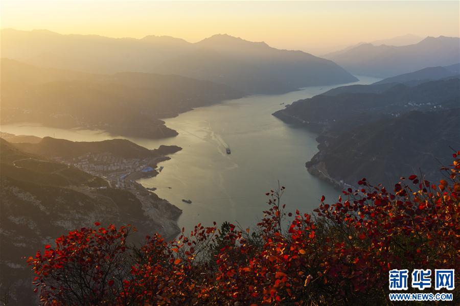 #(生態(tài))(1)三峽紅葉美如畫(huà) #(生態(tài))(1)三峽紅葉美如畫(huà)