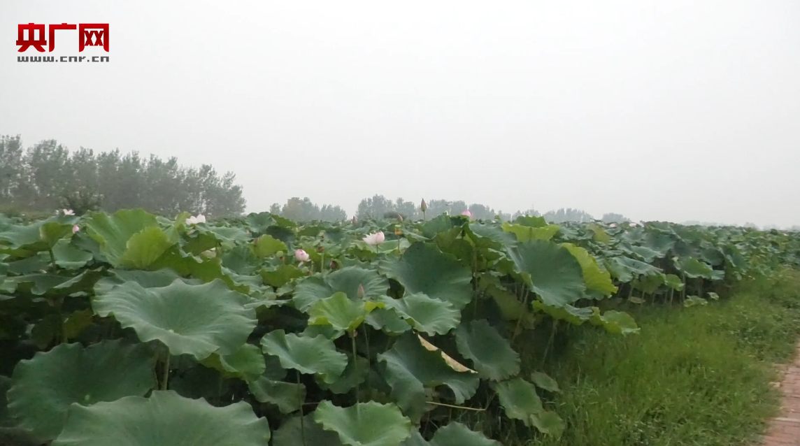 ΢�Ž؈D_20190909161752.png