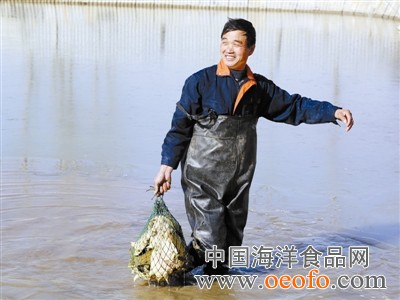 潢川甲魚養(yǎng)殖戶盡享收獲的喜悅