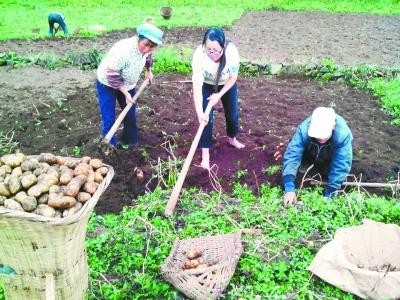 �c���M����һ�