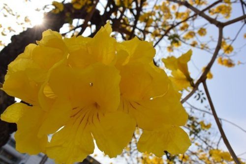 �p���� �_���S���L(f��ng)�ľʢ�_�Ҵ�����Ļ