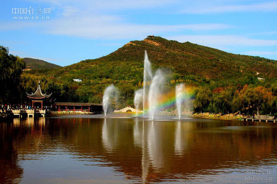 �D�鱱�m����ɭ�ֹ��@��ɫ�����н�(j��ng)�W(w��ng)�ѡ��������¡��z��
