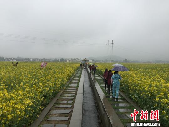 ���ϴ����l(xi��ng)�����ι�(ji��)�_Ļ������@�����^����