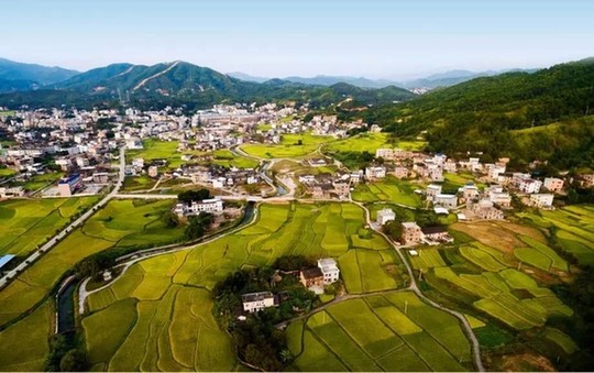 ��������96�������l(xi��ng)��ʾ���� ÿ�媄��20�f