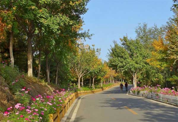 2014北宮國(guó)家森林公園踏青節(jié)攻略