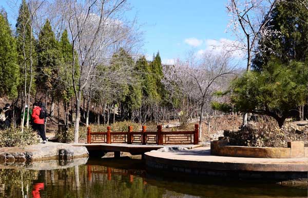 2014北宮國(guó)家森林公園踏青節(jié)攻略