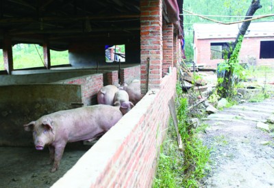 һ�ٶ��^�i�ľ������Ӽ��i��