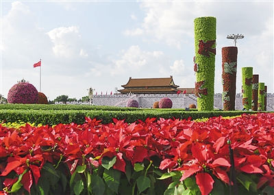 �D�鱱���찲�T�V�����õĻ�����