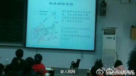 ��h��W(xu��)