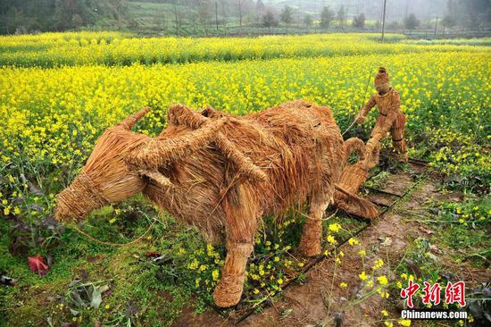 重慶油菜花地?cái)[放大型稻草動(dòng)物 吸眼球