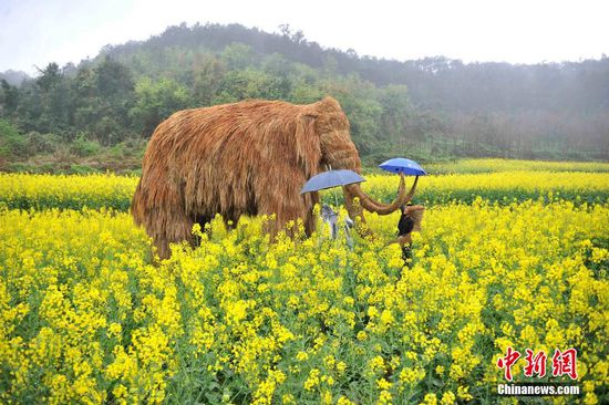 重慶油菜花地?cái)[放大型稻草動(dòng)物 吸眼球