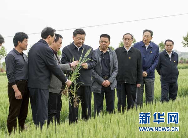 習(xí)近平安徽調(diào)研關(guān)注幾件大事