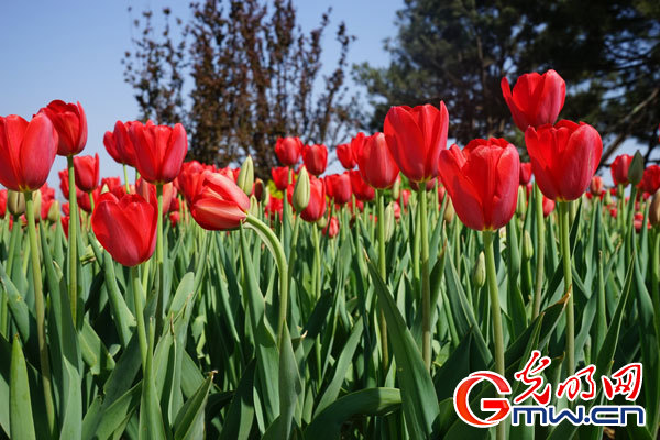 ���W(w��ng)�j(lu��)ý�w���D(zhu��n)�ġ���ɽ���@���_Ļ������Ļ��