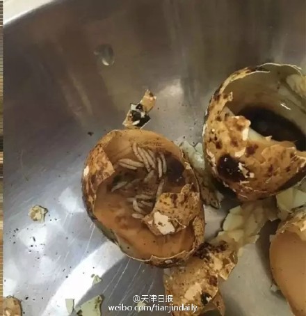 �g�����������