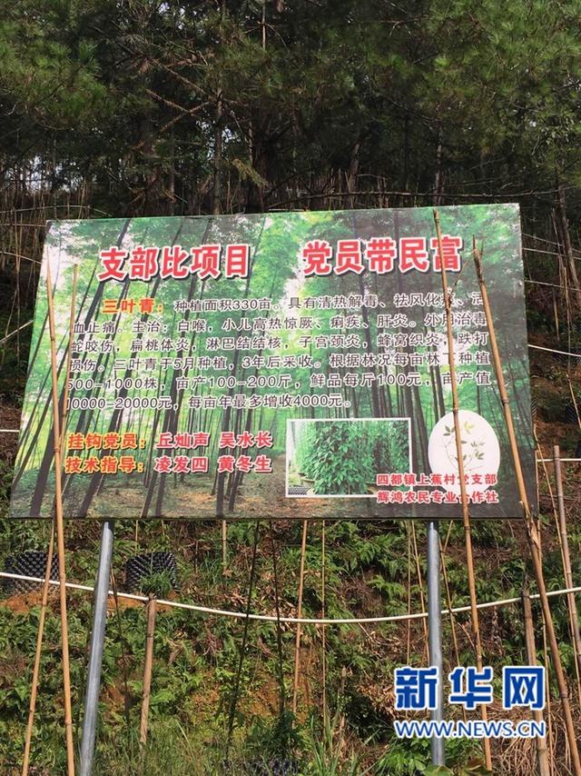 基層黨組織:長征路上奔小康的堅(jiān)強(qiáng)堡壘