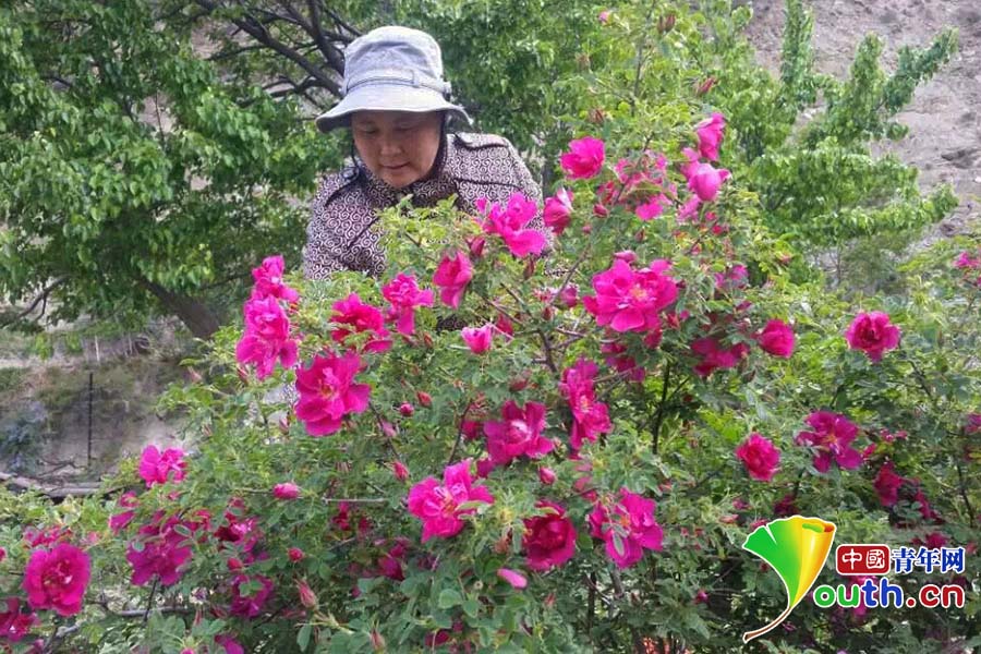 【網(wǎng)絡(luò)媒體“走轉(zhuǎn)改”】紅軍足跡印下長征精神 助力老區(qū)翻越脫貧“夾金山” 【網(wǎng)絡(luò)媒體“走轉(zhuǎn)改”】紅軍足跡印下長征精神 助力老區(qū)翻越脫貧“夾金山”
