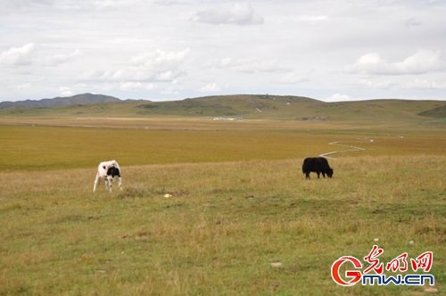 ���W(w��ng)�j(lu��)ý�w���D(zhu��n)�ġ������L(zh��ng)���D�U(xi��n)�� �_(k��i)���صء��Ҹ�����
