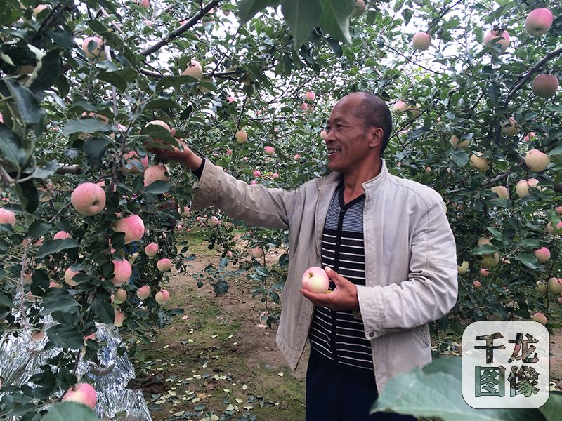 �����S�յļ���(ji��)���Ǵ��l(xi��ng)Сկ������������Լҹ��@���ժ�O����ǧ���W(w��ng)ӛ�� �R�ľ� �z