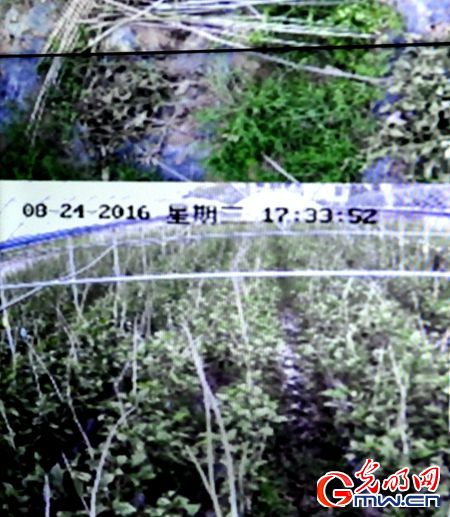 【網(wǎng)絡(luò)媒體走轉(zhuǎn)改】弘揚(yáng)長征精神 探尋革命老區(qū)脫貧致富“秘籍”