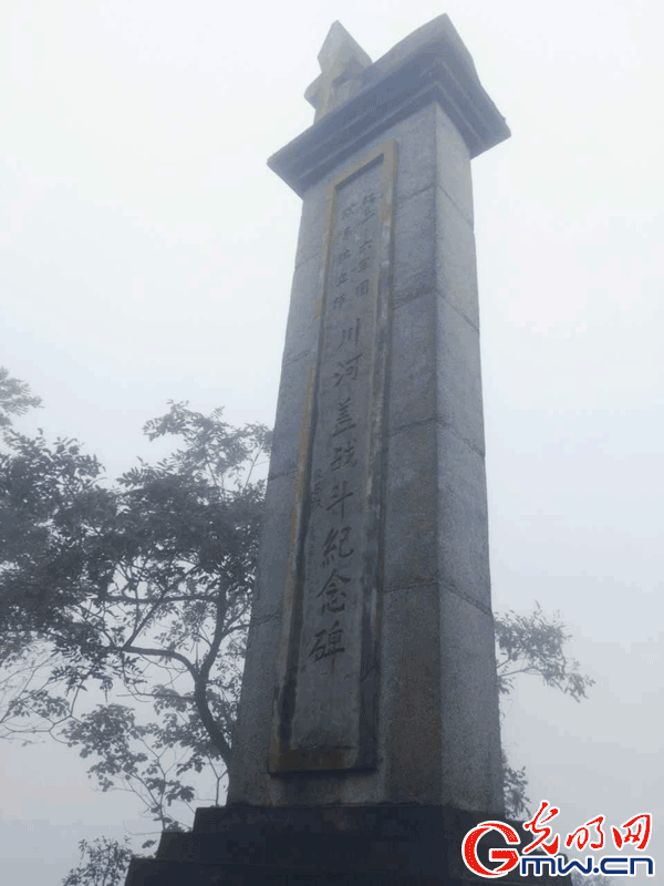 【網(wǎng)絡(luò)媒體走轉(zhuǎn)改】重慶秀山:窮山坳變成致富茶海