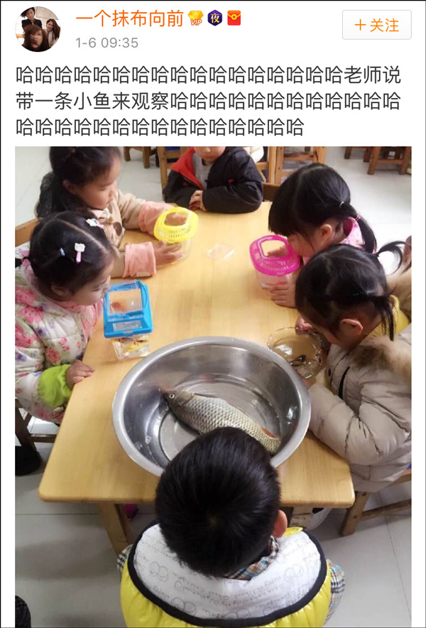 �DƬ������W(w��ng)�ѐ��㣺ˮ���~�����~Ƭ����������