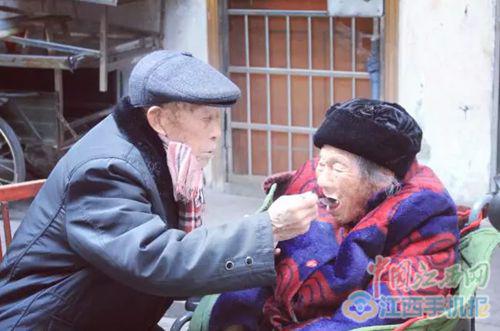 �ı���ι�ϰ���