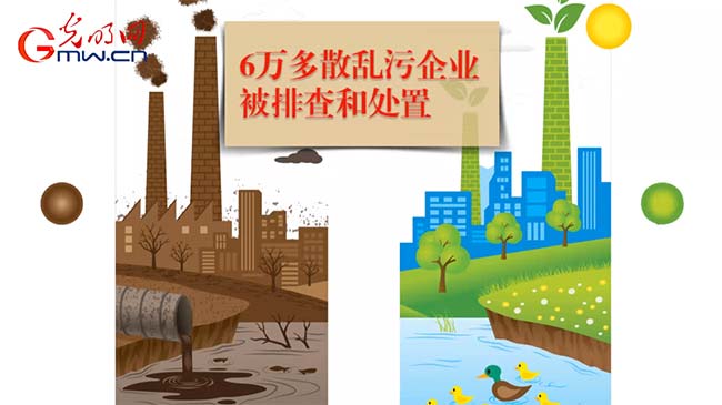 �Ӯ�|����2017���M�M�ġ��{���Ҹ��С��ĺζ�����
