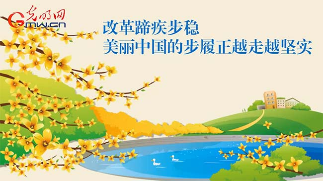 �Ӯ�|����2017���M�M�ġ��{���Ҹ��С��ĺζ�����
