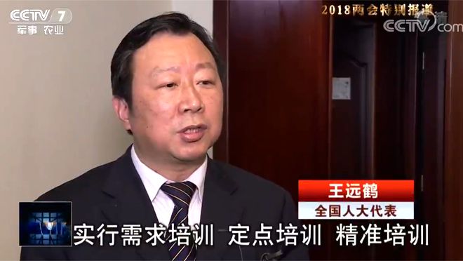 全國(guó)人大代表 王遠(yuǎn)鶴