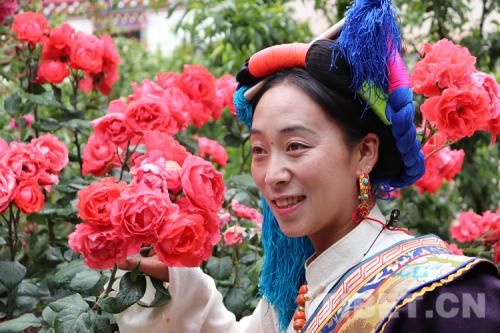 �D�鴩���{�����Ĺ���׿����ķ���zӰ������