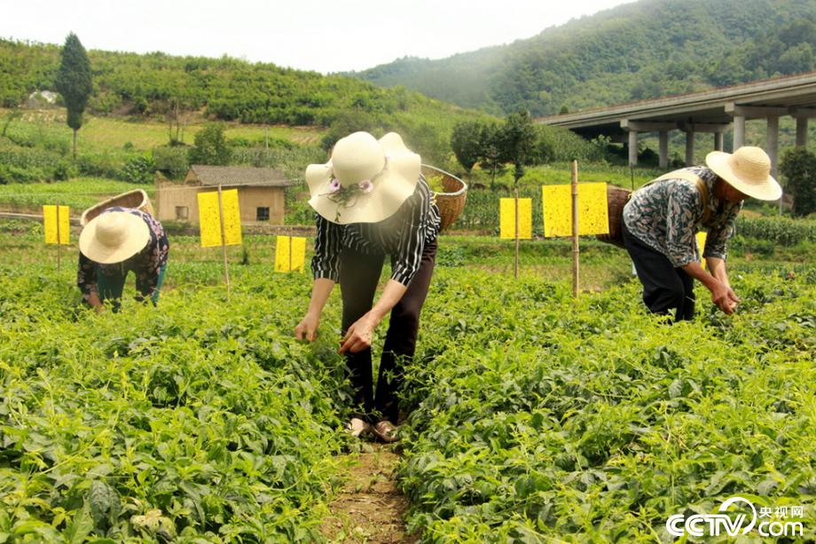 盡銳出戰(zhàn) 迎難而上 陜南脫貧攻堅(jiān)的18個(gè)瞬間