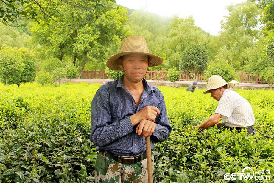 盡銳出戰(zhàn) 迎難而上 陜南脫貧攻堅(jiān)的18個(gè)瞬間