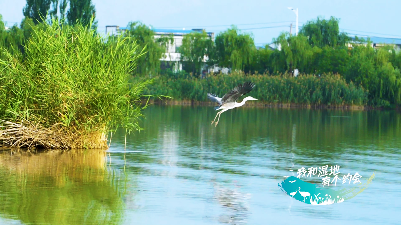 QQ�؈D20191023170510.png