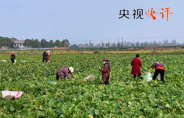 【央視快評】建立與疫情防控相適應(yīng)的經(jīng)濟社會運行秩序