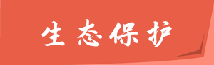 ̤�ϼtɫ���� ����ƽָ���V��������ƪ��