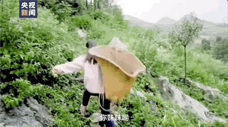 �򿂕�ӛ��(b��o)��ح���´������