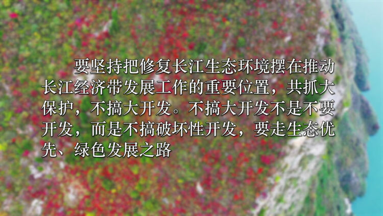����(x��)�n���Ƅ�(d��ng)�L(zh��ng)����(j��ng)��(j��)���l(f��)չ����(x��)��ƽ����(sh��)ӛ�@���f(shu��)
