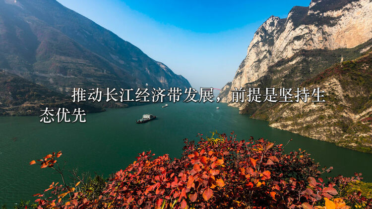 ����(x��)�n���Ƅ�(d��ng)�L(zh��ng)����(j��ng)��(j��)���l(f��)չ����(x��)��ƽ����(sh��)ӛ�@���f(shu��)
