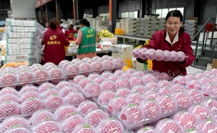 鏡觀領(lǐng)航丨七次會(huì)議 習(xí)近平親自抓了這件大事