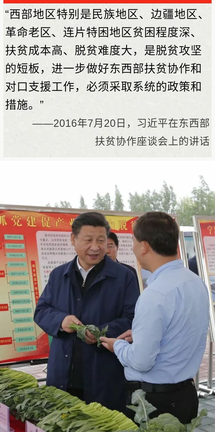 鏡觀領(lǐng)航丨七次會(huì)議 習(xí)近平親自抓了這件大事