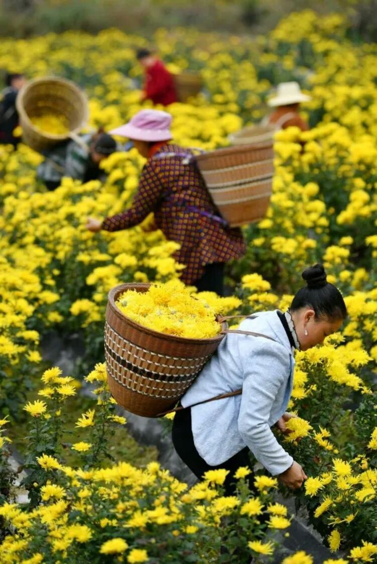 鏡觀領(lǐng)航丨七次會(huì)議 習(xí)近平親自抓了這件大事