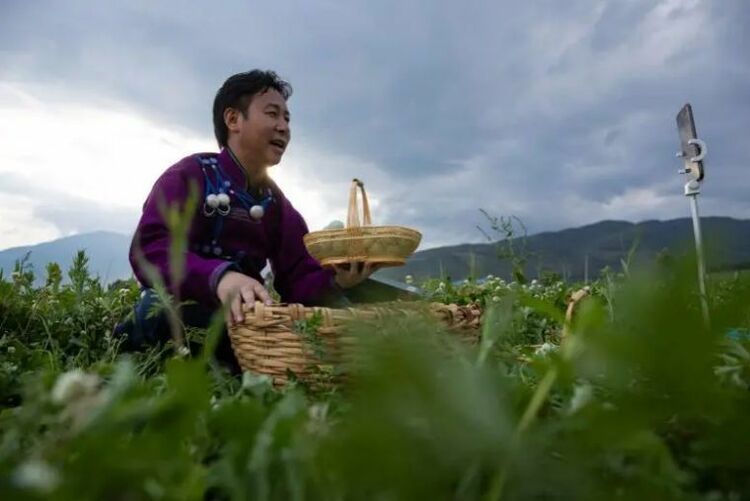 鏡觀領(lǐng)航丨七次會(huì)議 習(xí)近平親自抓了這件大事